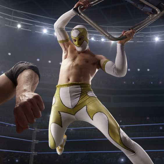 WWE Live Holiday Tour - Rochester - Blue Cross Arena - 2025年12月